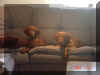 Chillnoncouch.jpg (52851 bytes)